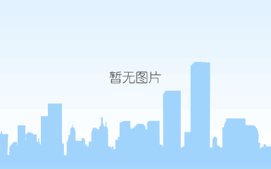 先进代理机构（采购代理）2010年度-正本